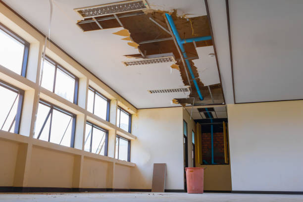 Best Fire Damage Restoration  in Mannington, WV