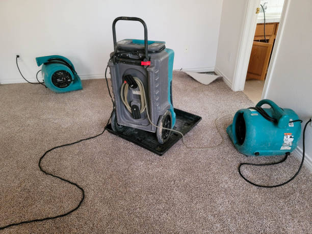 Best Professional water damage repair  in Mannington, WV
