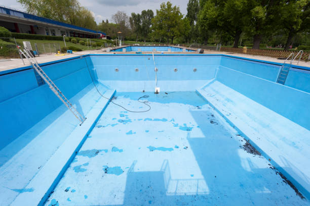 Best Professional water damage repair  in Mannington, WV