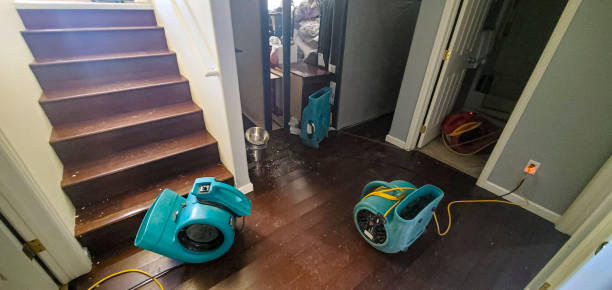 Best Flood damage cleanup  in Mannington, WV