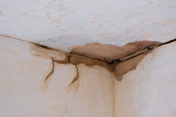 Best Basement water damage restoration  in Mannington, WV