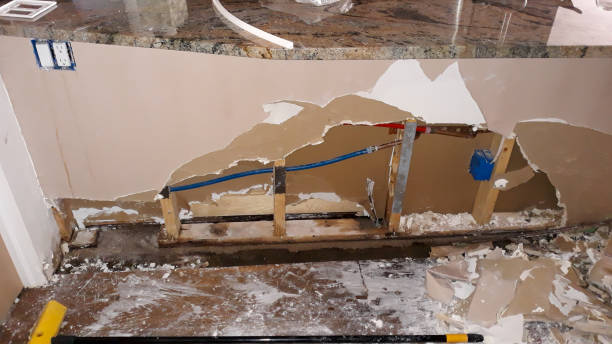 Best Commercial water damage restoration  in Mannington, WV