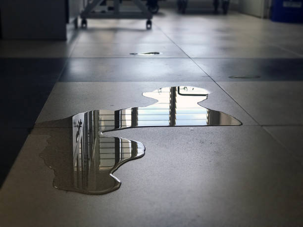 Best 24/7 water damage repair  in Mannington, WV