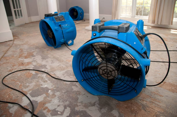 Professional Water damage restoration in WV