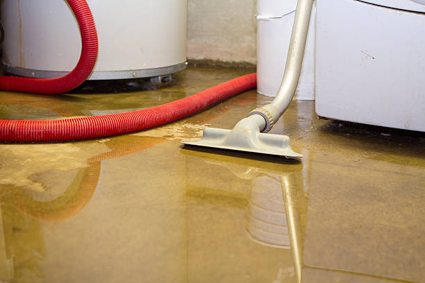 Best Residential water damage restoration  in Mannington, WV