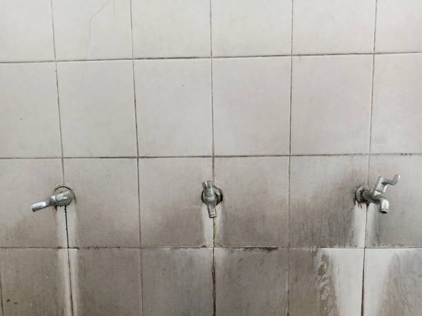 Best Water damage contractors near me  in Mannington, WV