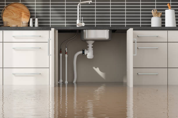 Best Carpet water damage restoration  in Mannington, WV