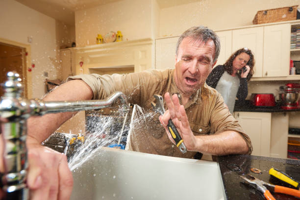 Best Flood restoration services  in Mannington, WV